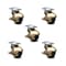 Service Caster 2 Inch Antique Brass Hooded Top Plate Ball Casters with Brakes SCC, 5PK SCC-TP01S20-POS-WA-SLB-5 - alternate 1